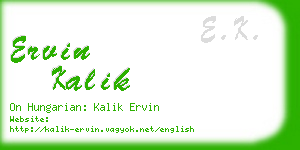 ervin kalik business card